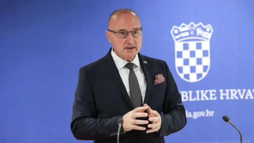 Grlić-Radman pozvao na odgovorno djelovanje nakon presude Dodiku