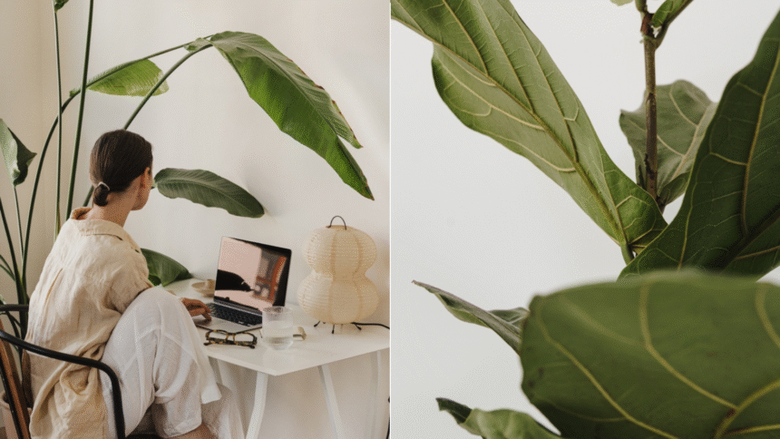 Biljke koje prežive (skoro) sve: 10 najličijih postrojenja za zauzete, zaboravne ili početnike