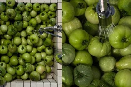 Kako napraviti zimu: Pickers recepti, paradajz, paprika i karfiol