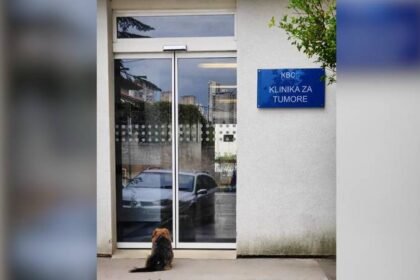 FOTO Pas čekao vlasnika ispred riječke onkologije: ‘Ne zna što je bolest, ali zna što je ljubav…’