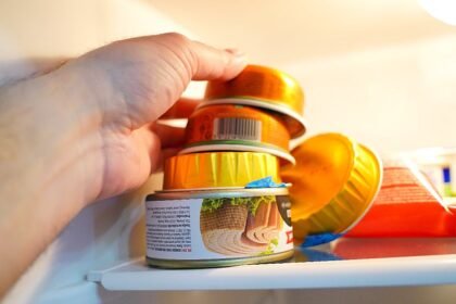 Evo koliko dugo se otvorena hrana u konzervi može čuvati u frižideru