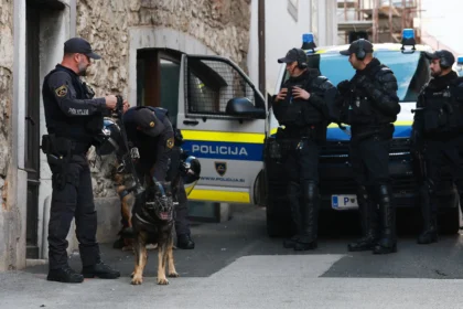 Novo Mesto: Pucnjava u romskim naseljima, stigla specijalna policija