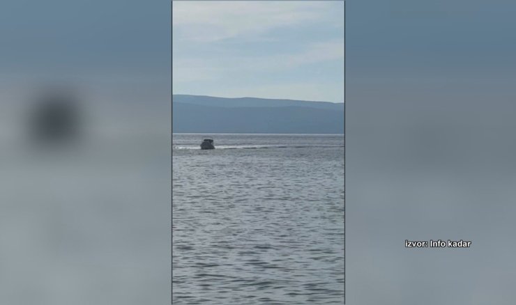 Dupin blizu splitske gradske luke