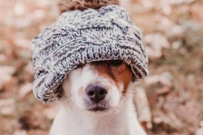 BRRRR! Pogledajte temperature po gradovima! Bilo je i minusa