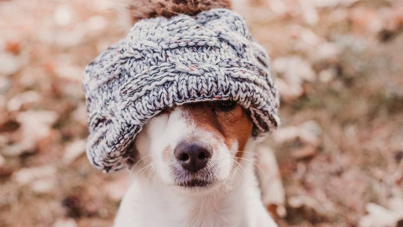 BRRRR! Pogledajte temperature po gradovima! Bilo je i minusa