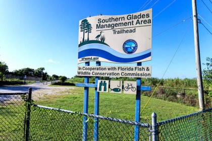 Amerikanci će na rođendan Donalda Trumpa moći besplatno ulaziti u nacionalne parkove