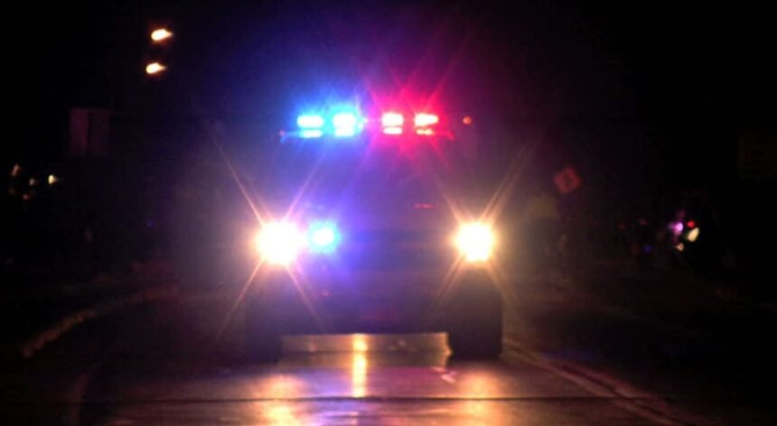 Policija češljala lokaciju u Šamcu: Pronašli marihuanu i priveli jedno lice