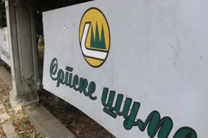 Od zapošljavanja do prodaje drveta, revizija otkrila duboke probleme u “Šumama RS”