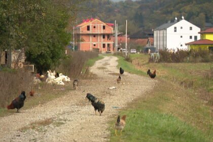 Obranili su svoju djedovinu! “Sretni smo jer mali čovjek ipak može pobijediti i ostati vlasnik svojeg zemljišta”