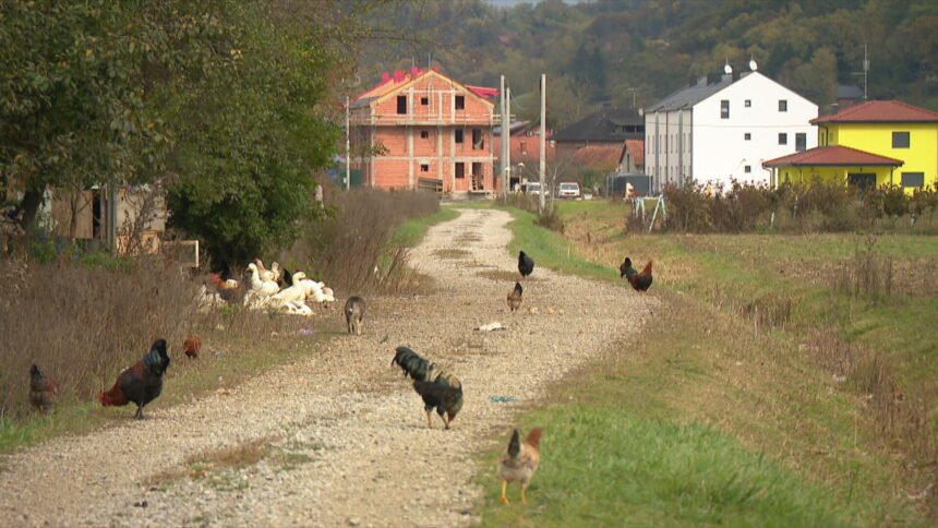 Obranili su svoju djedovinu! “Sretni smo jer mali čovjek ipak može pobijediti i ostati vlasnik svojeg zemljišta”