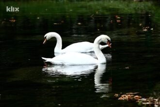 Prirodni biseri Kantona Sarajevo u 2025. godini privukli više od 400.000 posjetilaca