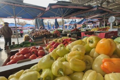 Podaci koji bacaju Hrvatsku na koljena: “Kada nestane oružja, tada države padaju, a kada nestane hrane, onda dolazi do onog najgorega”