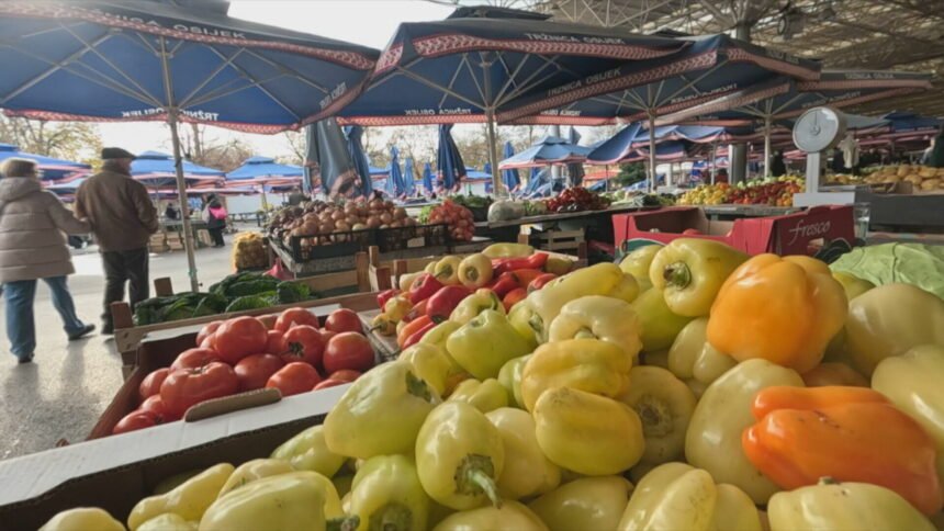 Podaci koji bacaju Hrvatsku na koljena: “Kada nestane oružja, tada države padaju, a kada nestane hrane, onda dolazi do onog najgorega”