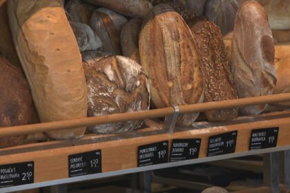 Svaki četvrti ispečeni kruh završi u smeću: “Kada bi ih sačuvali mogli bismo nahraniti najmanje…”