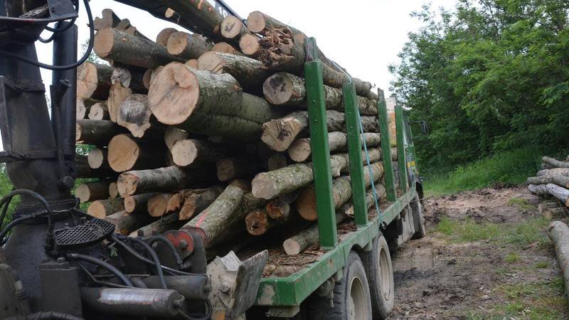 Nezaposlenog oca šestero djece osudili jer je po Petrinji vozio drva koja je dobio. Evo što kažu