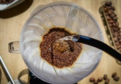 Jedenje zoca – dobro za zdravlje