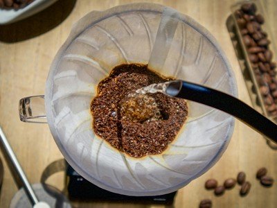 Jedenje zoca – dobro za zdravlje