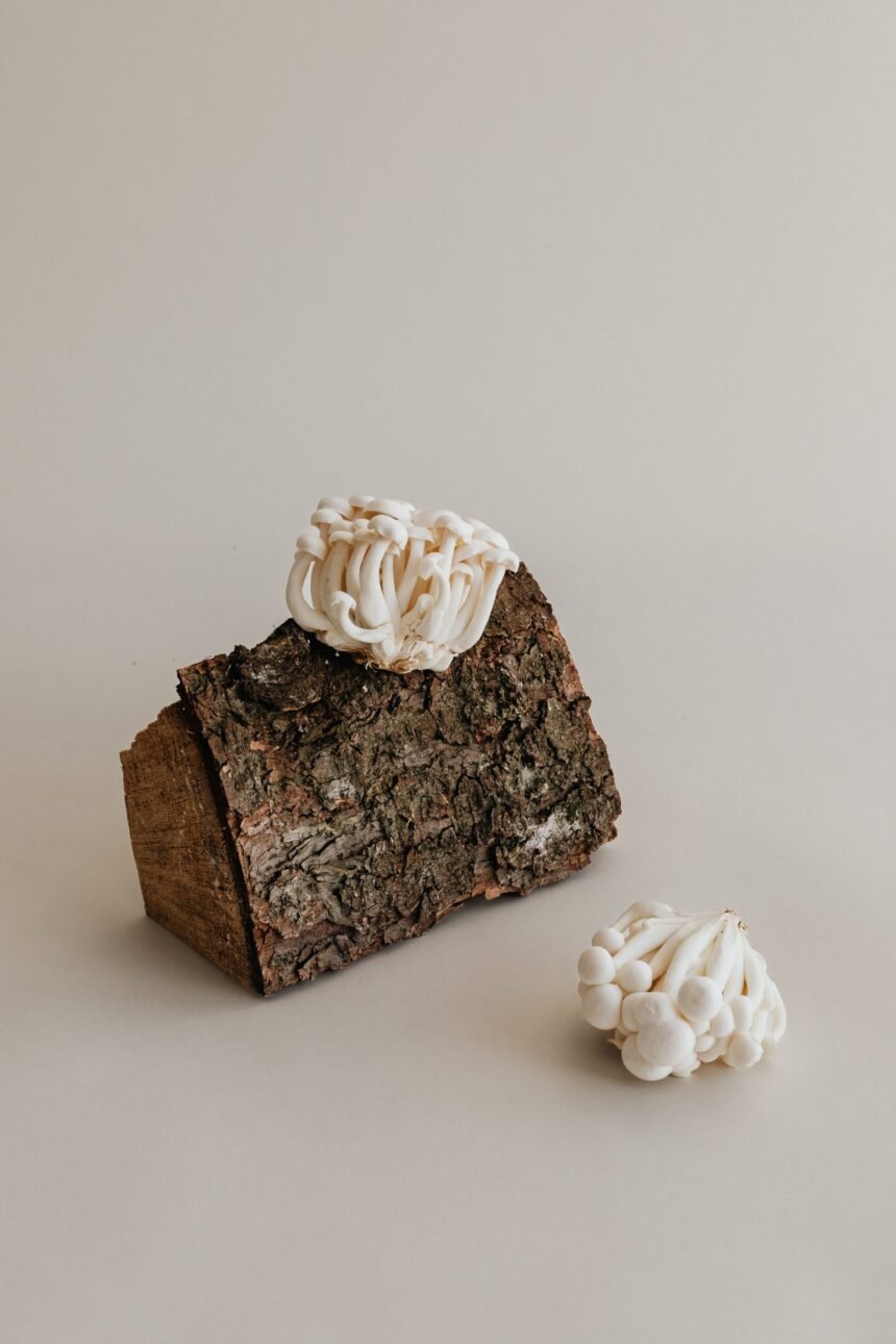 Enoki pečurke – sve što treba da znate o niskokaloričnoj, a nutritivno bogatoj namirnici