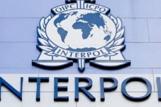 Osumnjičeni za ubistvo MMA borca ​​Stefana Savića uhapšen u Španiji