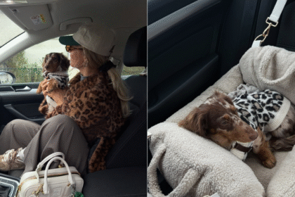 Potreban vam je odmor? Ove last minute pet-friendly kuće u prirodi mogu biti rešenje