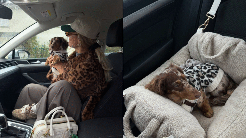 Potreban vam je odmor? Ove last minute pet-friendly kuće u prirodi mogu biti rešenje