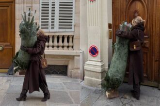 Ove godine birate prirodnu jelku? Evo kako da traje duže