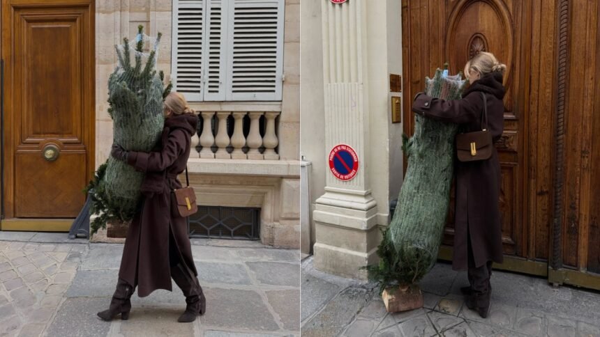 Ove godine birate prirodnu jelku? Evo kako da traje duže