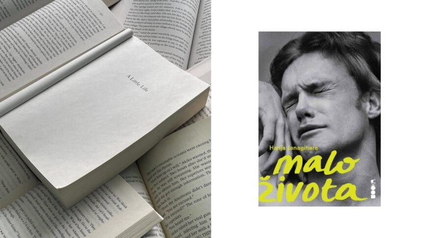 Roman o kojem svi pričaju: Kako “Mali život” Hanje Janagihare mijenja pogled na svijet?