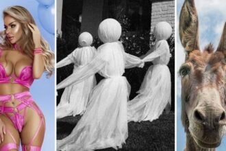 FOTO Od ukletih kuća i demona do magarca u kadi: Najbizarniji zakoni koji i danas prkose logici