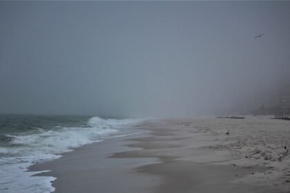 Djevojka (19) pronađena mrtva na popularnoj plaži, čopor je okružio njeno tijelo: “Bio je traumatičan i užasan prizor”