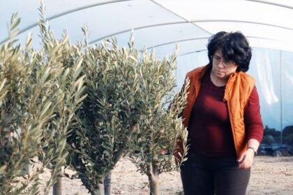 Zapošljavanje osoba s invaliditetom: Zakonska obaveza, društvena odgovornost i poslovna prilika