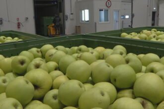 Na istoku zemlje pokrenut veliki projekt, iza svega stoje mladi ljudi: “Pet godina se borimo…”