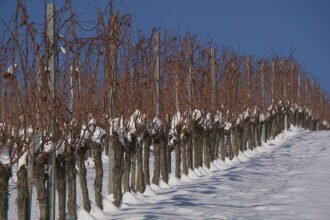 Led koji je okovao zemlju nekima je dobra vijest: “Ovo su idealni uvjeti”